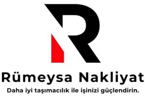 nakliyat sİte logonun renklerİnde olacak.